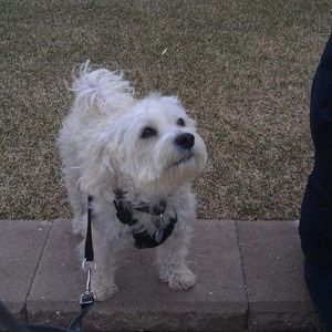 Meet your Posher, Elaine